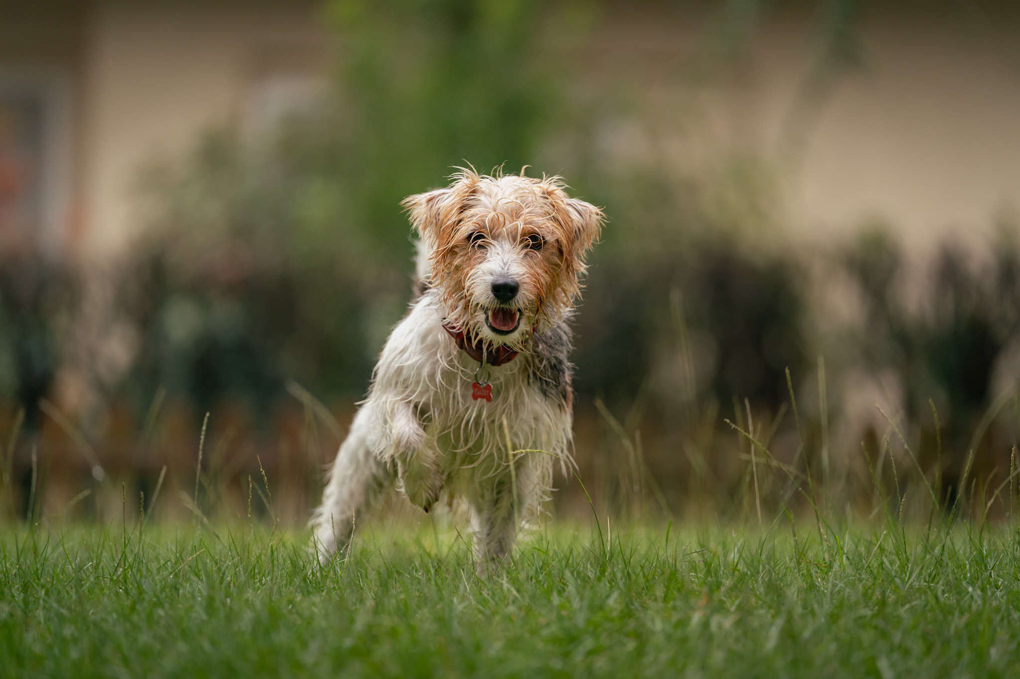 DogClick presenta Rawsie – Comprimere i raw e guadagnare spazio negli hard disk