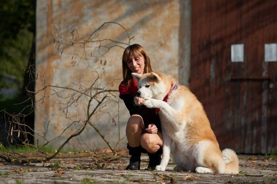 I cani sono straordinariamente vicini agli umani