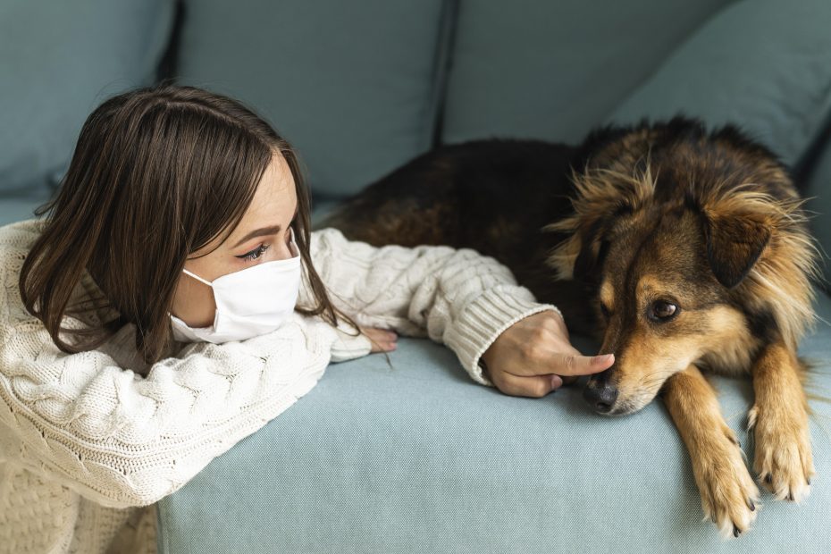 Il Coronavirus i cani e le loro necessità durante la pandemia