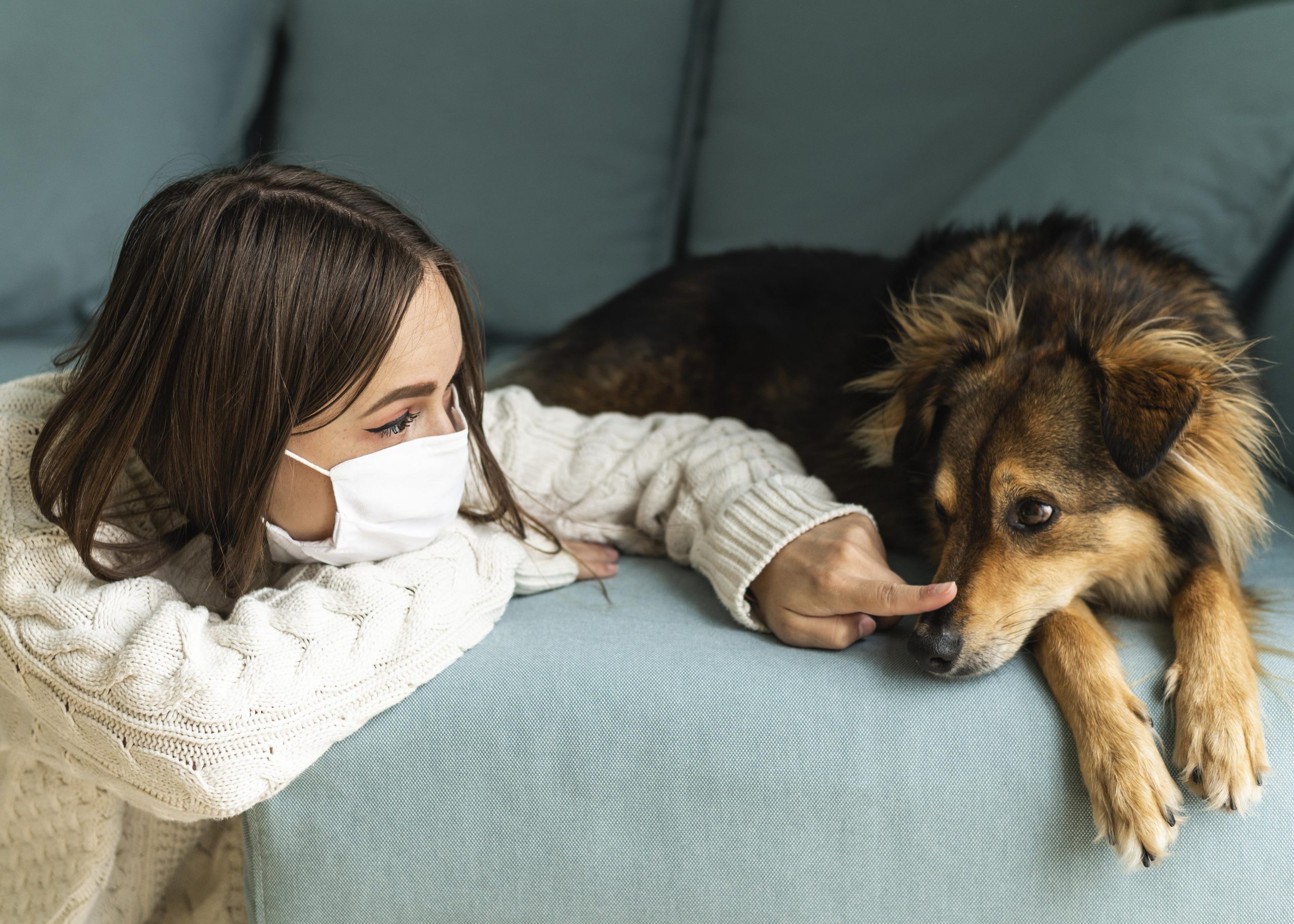 Il Coronavirus i cani e le loro necessità durante la pandemia