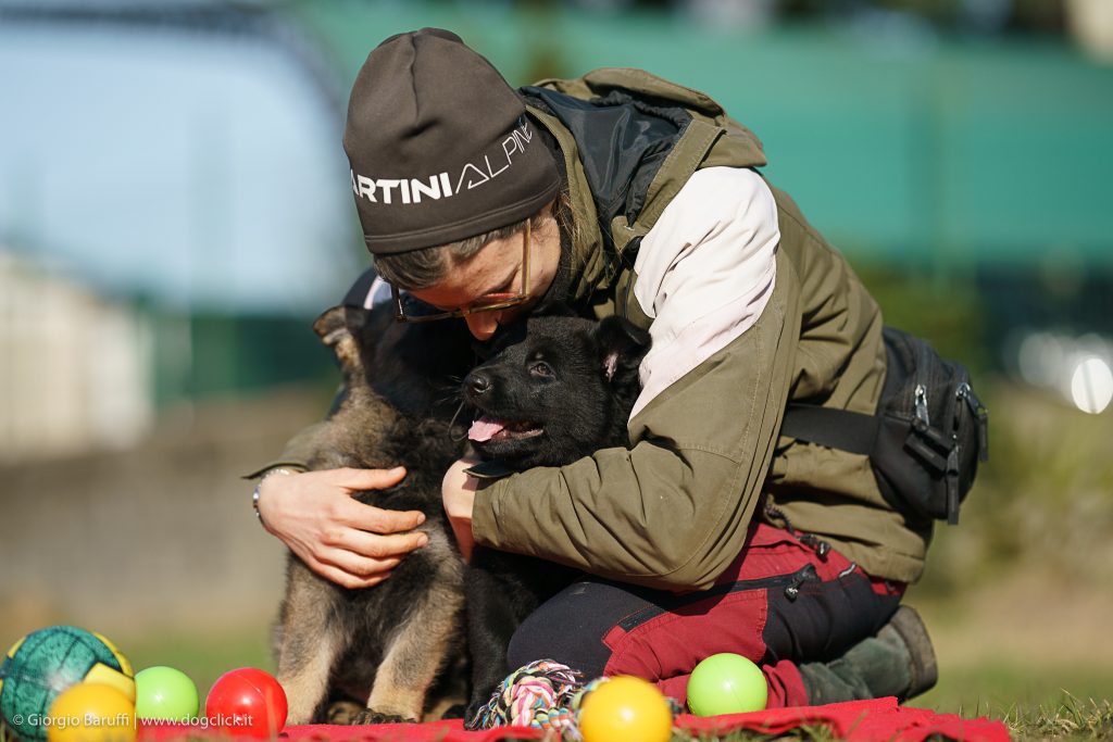 Come comportarsi con i cuccioli